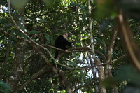 Canon EOS 5D Mark II, 2011:12:30 14:16:48 -- 1/125 sec, f/4.0.  No Flash, Compulsory.5616x3744 Off.