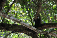 Canon EOS 5D Mark II, 2011:12:30 14:20:29 -- 1/100 sec, f/4.0.  No Flash, Compulsory.5616x3744 Off.