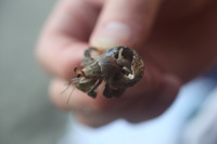Canon EOS 5D Mark II, 2011:12:30 15:14:23 -- 1/100 sec, f/4.0.  No Flash, Compulsory.5616x3744 Off.