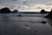 Canon EOS 5D Mark II, 2011:12:30 17:15:07 -- 1/200 sec, f/9.0.  No Flash, Compulsory.5616x3744 Off.