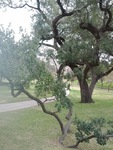 Galaxy Nexus, 2012:02:04 20:28:28 -- 2592x1944 1247/250000 sec, f/2.8.  No Flash, Compulsory.0.