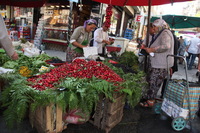 Canon EOS 5D Mark II, 2012:05:08 02:30:03 -- 1/50 sec, f/5.0.  No Flash, Compulsory.5616x3744 Off.