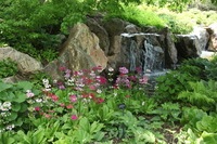 Canon EOS 5D Mark II, 2012:05:20 14:25:45 -- 1/50 sec, f/5.0.  No Flash, Compulsory.5616x3744 Off.