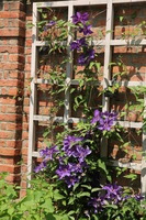 Canon EOS 5D Mark II, 2012:05:20 14:32:34 -- 1/250 sec, f/7.1.  No Flash, Compulsory.5616x3744 Off.