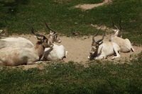 Canon EOS 5D Mark II, 2012:05:26 12:23:36 -- 1/500 sec, f/8.0.  No Flash, Compulsory.5616x3744 Off.