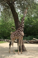 Canon EOS 5D Mark II, 2012:05:26 12:30:19 -- 1/125 sec, f/7.1.  No Flash, Compulsory.5616x3744 Off.