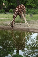 Canon EOS 5D Mark II, 2012:05:26 12:37:32 -- 1/125 sec, f/5.6.  No Flash, Compulsory.5616x3744 Off.