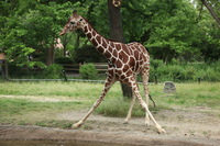 Canon EOS 5D Mark II, 2012:05:26 12:37:46 -- 1/125 sec, f/5.6.  No Flash, Compulsory.5616x3744 Off.