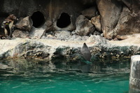 Canon EOS 5D Mark II, 2012:05:26 14:53:13 -- 1/200 sec, f/5.0.  No Flash, Compulsory.5616x3744 Off.