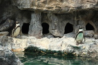 Canon EOS 5D Mark II, 2012:05:26 14:53:33 -- 1/125 sec, f/4.5.  No Flash, Compulsory.5616x3744 Off.