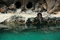 Canon EOS 5D Mark II, 2012:05:26 14:54:32 -- 1/160 sec, f/5.0.  No Flash, Compulsory.5616x3744 Off.