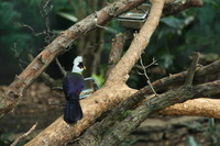 Canon EOS 5D Mark II, 2012:05:26 15:09:34 -- 1/125 sec, f/4.0.  No Flash, Compulsory.5616x3744 Off.