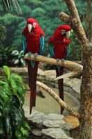 Canon EOS 5D Mark II, 2012:05:26 15:09:52 -- 1/60 sec, f/4.0.  No Flash, Compulsory.5616x3744 Off.