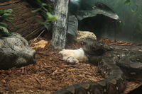 Canon EOS 5D Mark II, 2012:05:26 15:15:07 -- 1/125 sec, f/4.0.  No Flash, Compulsory.5616x3744 Off.