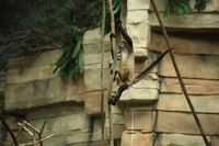 Canon EOS 5D Mark II, 2012:05:26 15:43:34 -- 1/200 sec, f/5.0.  No Flash, Compulsory.5616x3744 Off.