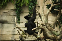 Canon EOS 5D Mark II, 2012:05:26 15:43:44 -- 1/250 sec, f/5.6.  No Flash, Compulsory.5616x3744 Off.