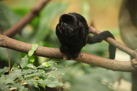 Canon EOS 5D Mark II, 2012:05:26 15:44:24 -- 1/100 sec, f/5.6.  No Flash, Compulsory.5616x3744 Off.