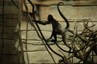 Canon EOS 5D Mark II, 2012:05:26 15:44:35 -- 1/250 sec, f/5.6.  No Flash, Compulsory.5616x3744 Off.