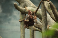 Canon EOS 5D Mark II, 2012:05:26 15:49:41 -- 1/250 sec, f/5.6.  No Flash, Compulsory.5616x3744 Off.