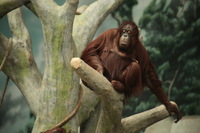 Canon EOS 5D Mark II, 2012:05:26 15:52:58 -- 1/200 sec, f/5.6.  No Flash, Compulsory.5616x3744 Off.