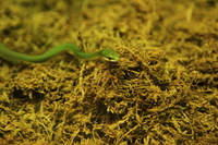 Canon EOS 5D Mark II, 2012:05:26 16:34:27 -- 1/100 sec, f/4.0.  No Flash, Compulsory.5616x3744 Off.