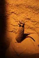 Canon EOS 5D Mark II, 2012:05:26 17:34:48 -- 1/100 sec, f/4.0.  No Flash, Compulsory.5616x3744 Off.