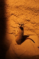 Canon EOS 5D Mark II, 2012:05:26 17:34:49 -- 1/125 sec, f/4.0.  No Flash, Compulsory.5616x3744 Off.