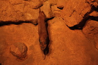 Canon EOS 5D Mark II, 2012:05:26 17:36:19 -- 1/80 sec, f/4.0.  No Flash, Compulsory.5616x3744 Off.