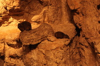 Canon EOS 5D Mark II, 2012:05:26 17:37:15 -- 1/100 sec, f/4.0.  No Flash, Compulsory.5616x3744 Off.