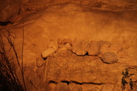 Canon EOS 5D Mark II, 2012:05:26 17:38:50 -- 1/100 sec, f/4.0.  No Flash, Compulsory.5616x3744 Off.