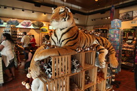 Canon EOS 5D Mark II, 2012:05:26 18:04:44 -- 1/25 sec, f/4.0.  No Flash, Compulsory.5616x3744 Off.