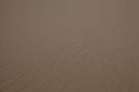 Canon EOS 5D Mark II, 2012:07:08 11:09:07 -- 1/320 sec, f/11.0.  No Flash, Compulsory.5616x3744 Off.