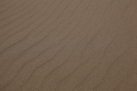 Canon EOS 5D Mark II, 2012:07:08 11:09:16 -- 1/320 sec, f/10.0.  No Flash, Compulsory.5616x3744 Off.