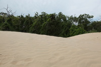 Canon EOS 5D Mark II, 2012:07:08 11:03:58 -- 1/200 sec, f/10.0.  No Flash, Compulsory.5616x3744 Off.