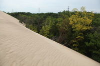 Canon EOS 5D Mark II, 2012:07:08 11:13:54 -- 1/160 sec, f/9.0.  No Flash, Compulsory.5616x3744 Off.