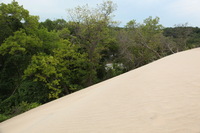 Canon EOS 5D Mark II, 2012:07:08 11:13:59 -- 1/125 sec, f/8.0.  No Flash, Compulsory.5616x3744 Off.