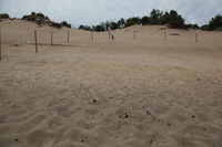 Canon EOS 5D Mark II, 2012:07:08 11:29:08 -- 1/250 sec, f/11.0.  No Flash, Compulsory.5616x3744 Off.