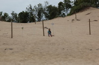 Canon EOS 5D Mark II, 2012:07:08 11:29:15 -- 1/500 sec, f/8.0.  No Flash, Compulsory.5616x3744 Off.