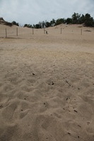 Canon EOS 5D Mark II, 2012:07:08 11:29:26 -- 1/320 sec, f/11.0.  No Flash, Compulsory.5616x3744 Off.