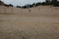 Canon EOS 5D Mark II, 2012:07:08 11:29:56 -- 1/320 sec, f/11.0.  No Flash, Compulsory.5616x3744 Off.