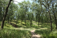 Canon EOS 5D Mark II, 2012:07:08 12:48:52 -- 1/100 sec, f/7.1.  No Flash, Compulsory.5616x3744 Off.