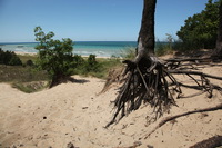 Canon EOS 5D Mark II, 2012:07:08 13:00:23 -- 1/250 sec, f/11.0.  No Flash, Compulsory.5616x3744 Off.