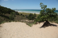 Canon EOS 5D Mark II, 2012:07:08 13:00:36 -- 1/250 sec, f/11.0.  No Flash, Compulsory.5616x3744 Off.