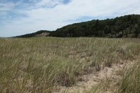 Canon EOS 5D Mark II, 2012:07:08 13:03:38 -- 1/200 sec, f/10.0.  No Flash, Compulsory.5616x3744 Off.