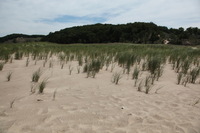 Canon EOS 5D Mark II, 2012:07:08 13:04:31 -- 1/320 sec, f/11.0.  No Flash, Compulsory.5616x3744 Off.