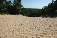 Canon EOS 5D Mark II, 2012:07:08 16:29:49 -- 1/250 sec, f/11.0.  No Flash, Compulsory.5616x3744 Off.