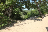 Canon EOS 5D Mark II, 2012:07:08 16:29:57 -- 1/125 sec, f/8.0.  No Flash, Compulsory.5616x3744 Off.