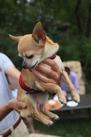 Canon EOS 5D Mark II, 2012:07:22 15:25:56 -- 1/80 sec, f/5.6.  No Flash, Compulsory.5616x3744 Off.