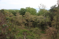 Canon EOS 5D Mark II, 2012:08:04 14:34:21 -- 1/100 sec, f/7.1.  No Flash, Compulsory.5616x3744 Off.