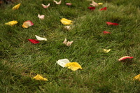 Canon EOS 5D Mark II, 2012:08:04 18:12:35 -- 1/60 sec, f/4.0.  No Flash, Compulsory.5616x3744 Off.